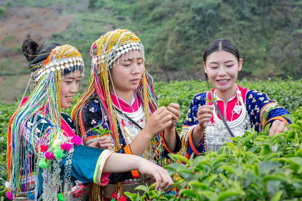 Tribes of Arunachal Pradesh